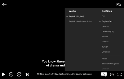 A screenshot showing how Netflix decouples audio track and subtitles into two columns