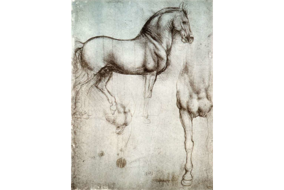 Horse statue study